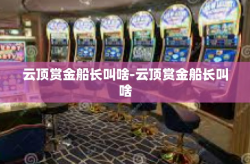 云顶赏金船长叫啥-云顶赏金船长叫啥
