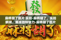 麻将胡了图片 实拍-麻将胡了，实拍瞬间，展现独特魅力-麻将胡了图片 实拍
